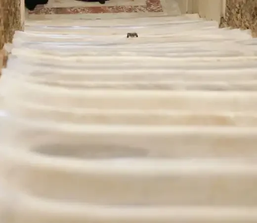 Escalera Santa en Roma