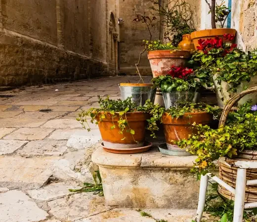 Idioma en Roma, Italia